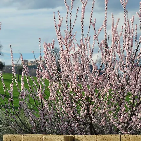 Alloggio per agriturismo La Limonaia